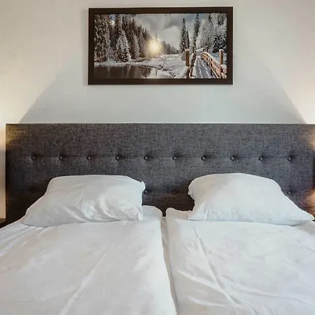 Apartament Wysowa Dwór Zewnętrze zdjęcie