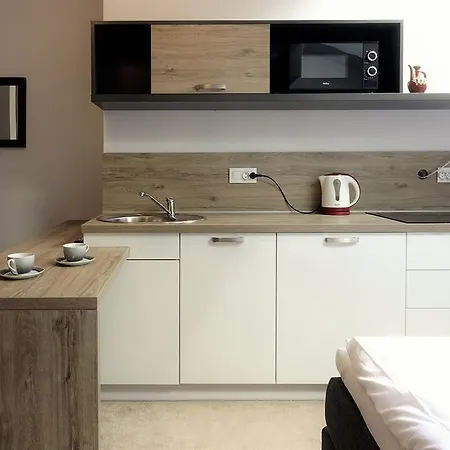 Apartament Wysowa Dwór Zewnętrze zdjęcie