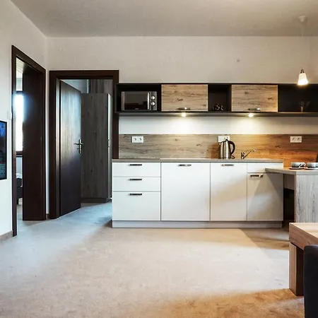Apartament Wysowa Dwór Zewnętrze zdjęcie