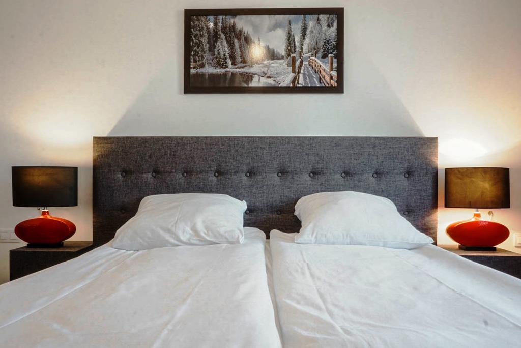 Dwor Apartment